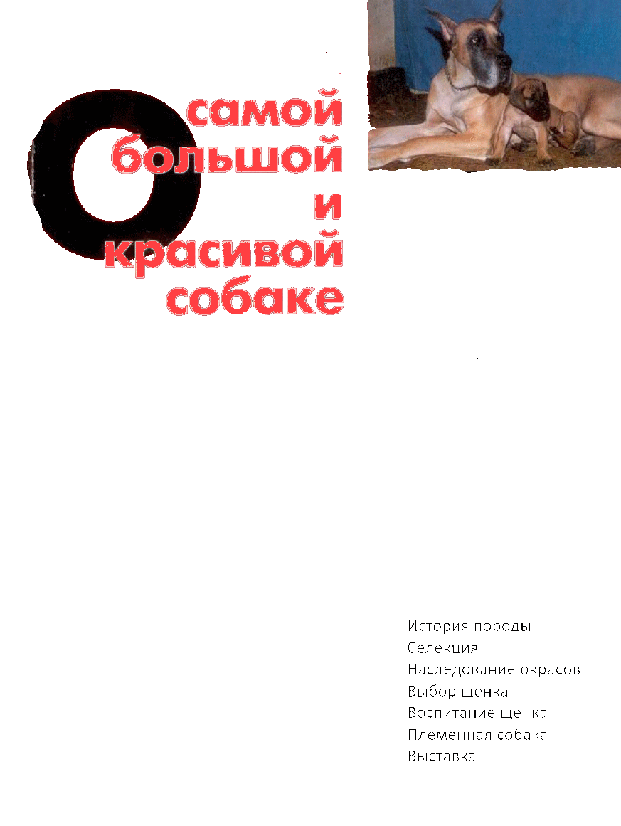 О самой большой и красивой собаке Т.Озерова