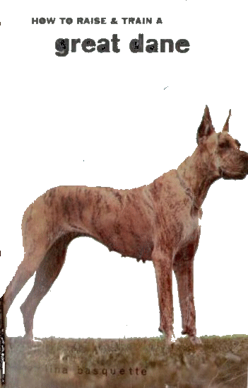 How to raise and train by L.Basquette